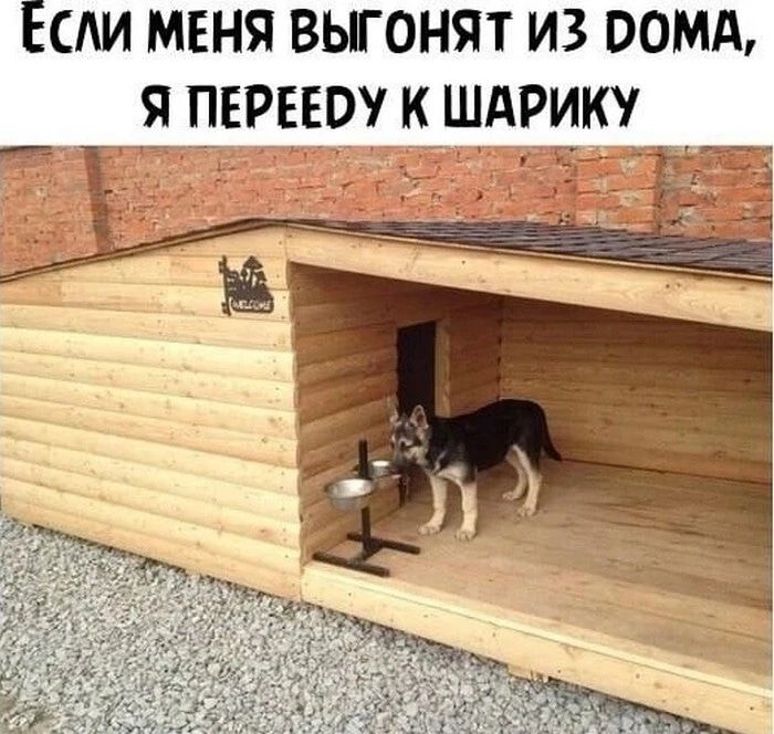 Если меня вьгонят из вомд шин и шдрику гг