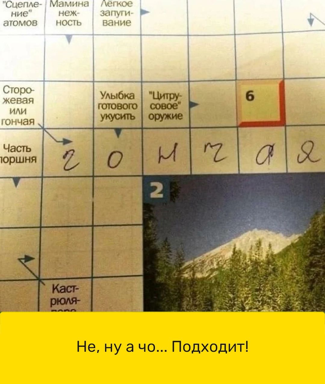 Не ну а чо Подходит