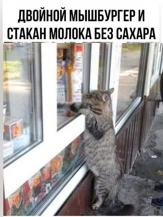 ЛВПЙНПЙ МЫШБУРГЕР И ВТ_АКА_Н МПЛПКА БЕЗ БАХАРА