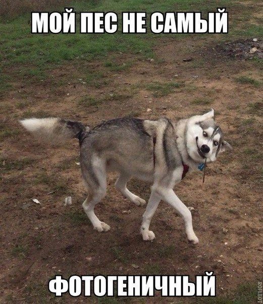 _ Т и УЕ НЁЦКЖЧ фотопничньій