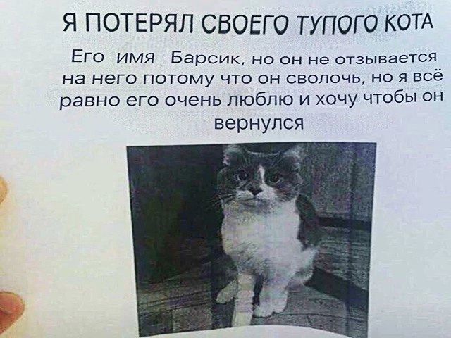 Я ПОТЕРЯЛ СВОЕГО ТУПОГО КОТА Его имя Барсик но он не отзывается на него потому что он сволочь но я все равно его очень люблю и хочу чтобы он вернулся