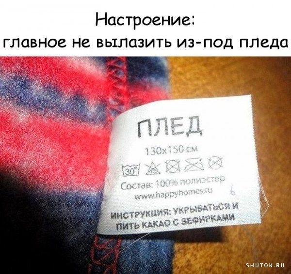 Настроение главное не выловить изпод пледа 3 инстгукшч пить кдкю