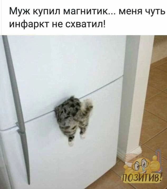 Муж купил магнитик меня чуть инфаркт не схватил