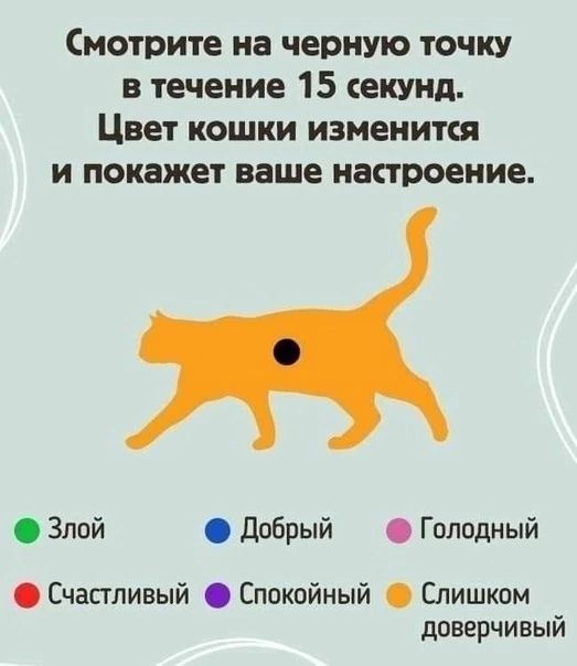 Смотрите на черную точку в течение 15 секунд Цвет кошки измените и покажет ваше настроение Злой добрый Голодный Счастливый Спокойный Слишком доверчивый