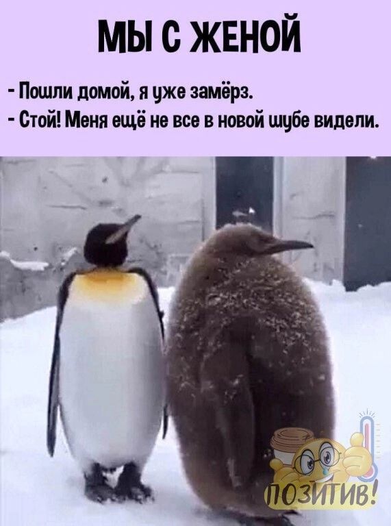 МЫ О ЖЕНОЙ Пошли домой и уже замёрз Стой Меня ещё не все в новой шуба видели