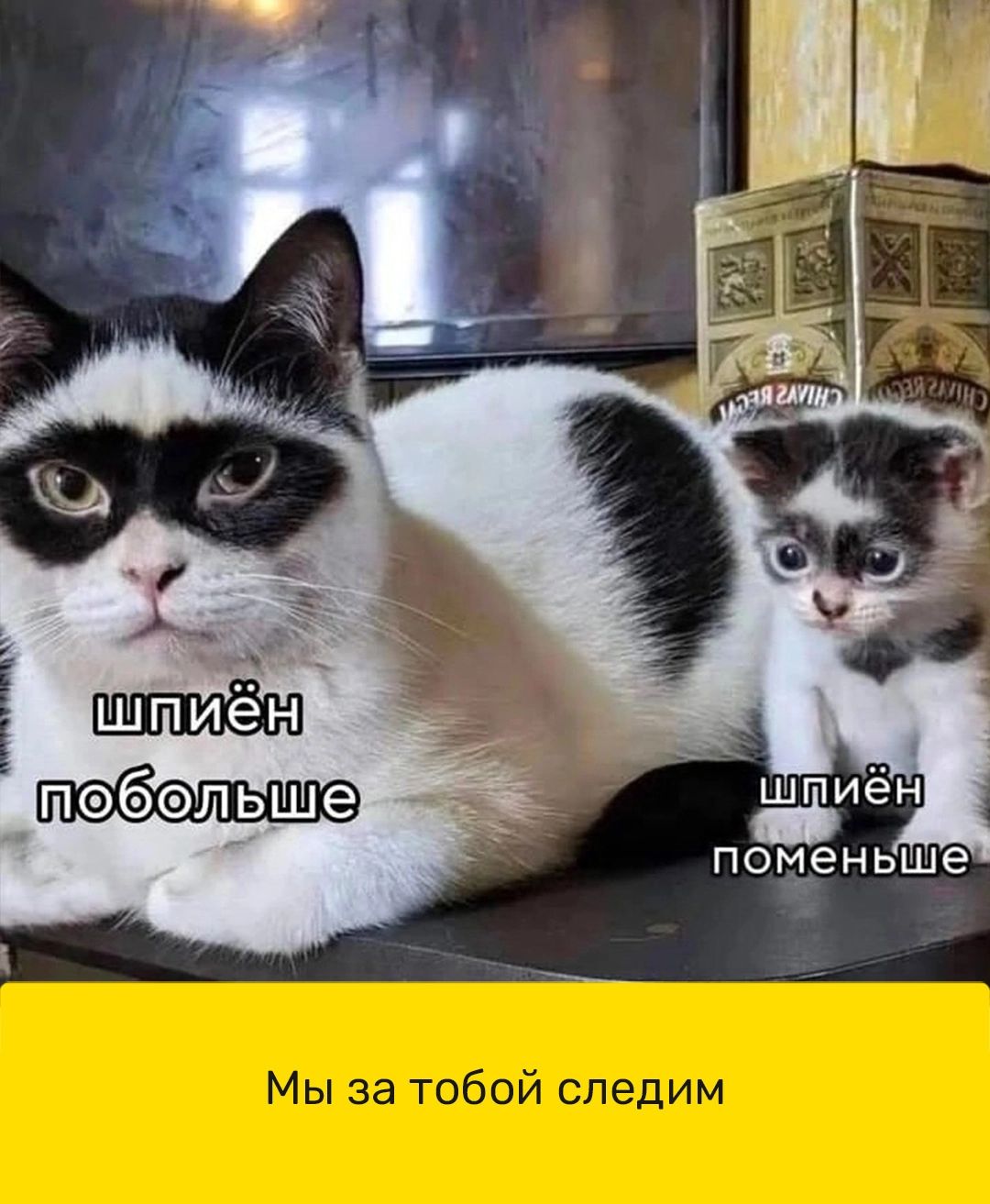 6 Щ Ь л 6
