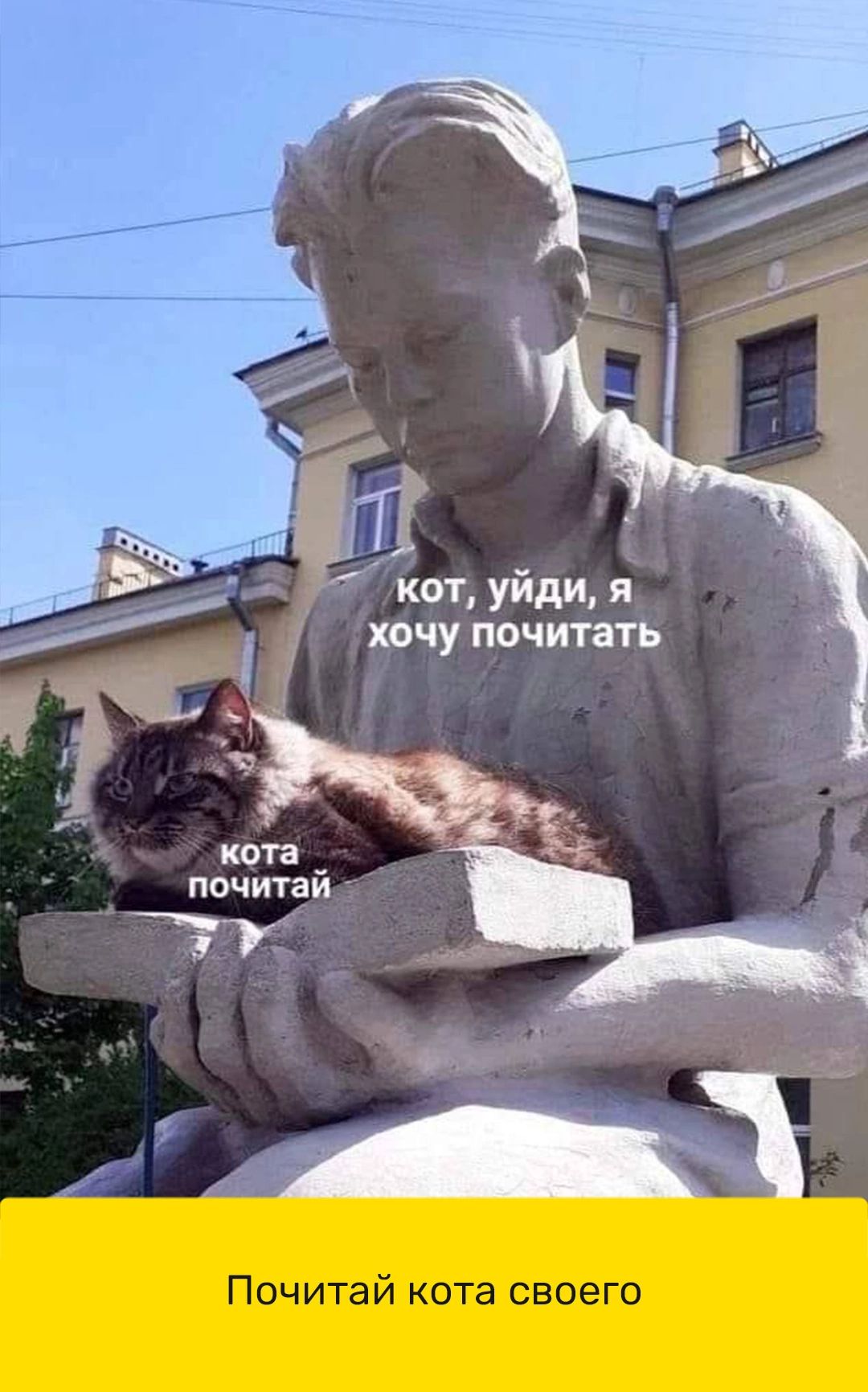 іі 5 кот уйди я хочу почитать кота почитаи 7 Почитай кота своего