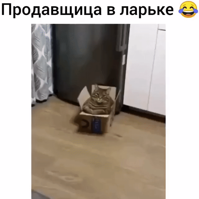 Продавщица в ларьке