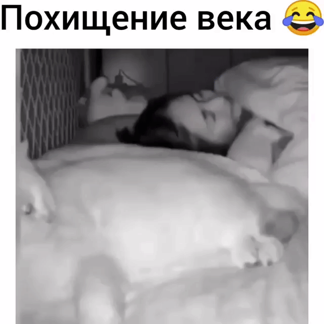 Похищение века 0 01