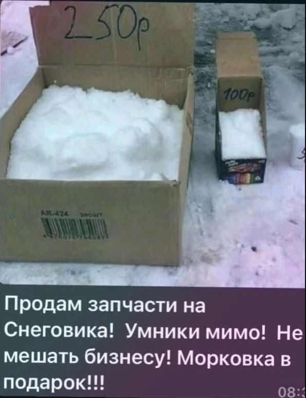 Продам запчасти на Снеговика Умники мимо Не мешать бизнесу Морковка в подарок 08