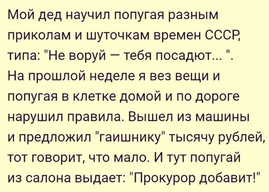 Мой дед научил попугая разным приколам и шуточкам времен СССР типа Не воруй тебя посадют На прошлой неделе я вез вещи и попугая в клетке домой и по дороге нарушил правила Вышел из машины и предложил гаишнику тысячу рублей тот говорит что мало И тут попугай из салона выдает Прокурор добавит