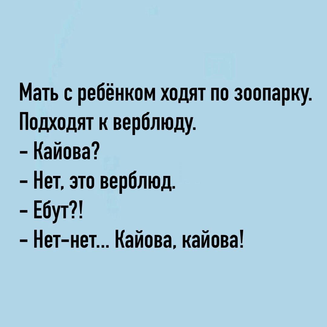 Мать с ребёнком ходят по зоопарку Подходят к верблюду Кайова Нет это верблюд Ебут Нет нет Кайова кайова