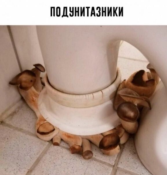 ППЦННИТАЗНИКИ