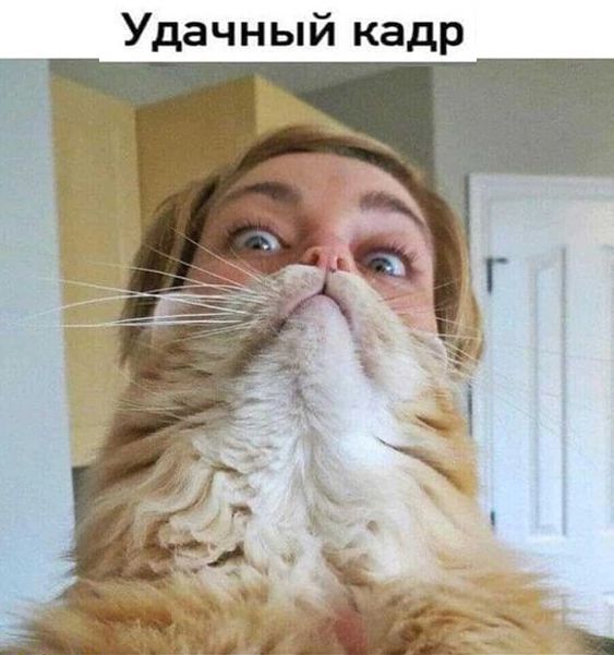 Удачный кадр