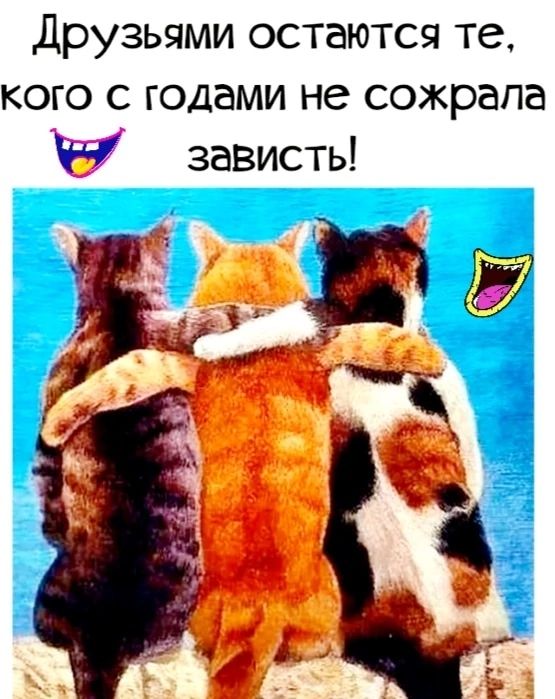 Друзьями остаются те кого с годами не сожрала зависть