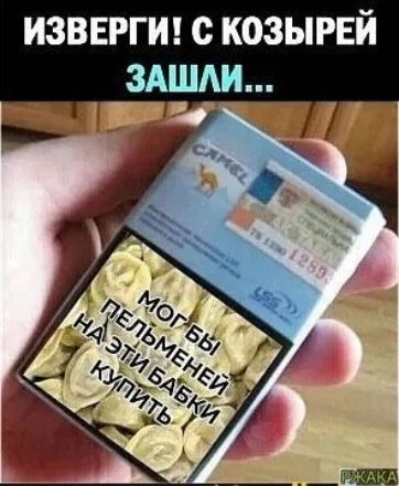 изввггт с козыгвй здшди