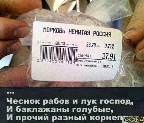 ЗПП 07 Чеснок рабов и лук господ И баклажаны голубые И прочий разный корнепЁд