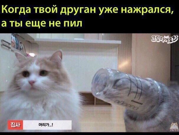Когда твой друган уже нажрался а ты еще не пил