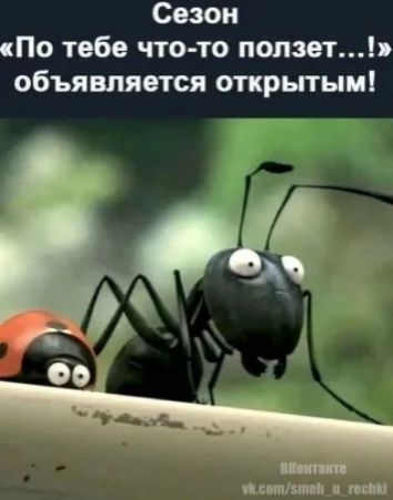 Сезон По тебе что то пишет объявляется открытым пилит пам