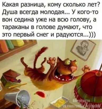 Какая разница кому сколько лет Душа всегда молодая У кого то вон седина уже на всю голову а тараканы в голове думают что это первый снег и радуются