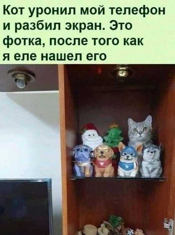 Кот уронил мой телефон и разбил экран Это фотка после того как я еле нашел его И ЁЁ