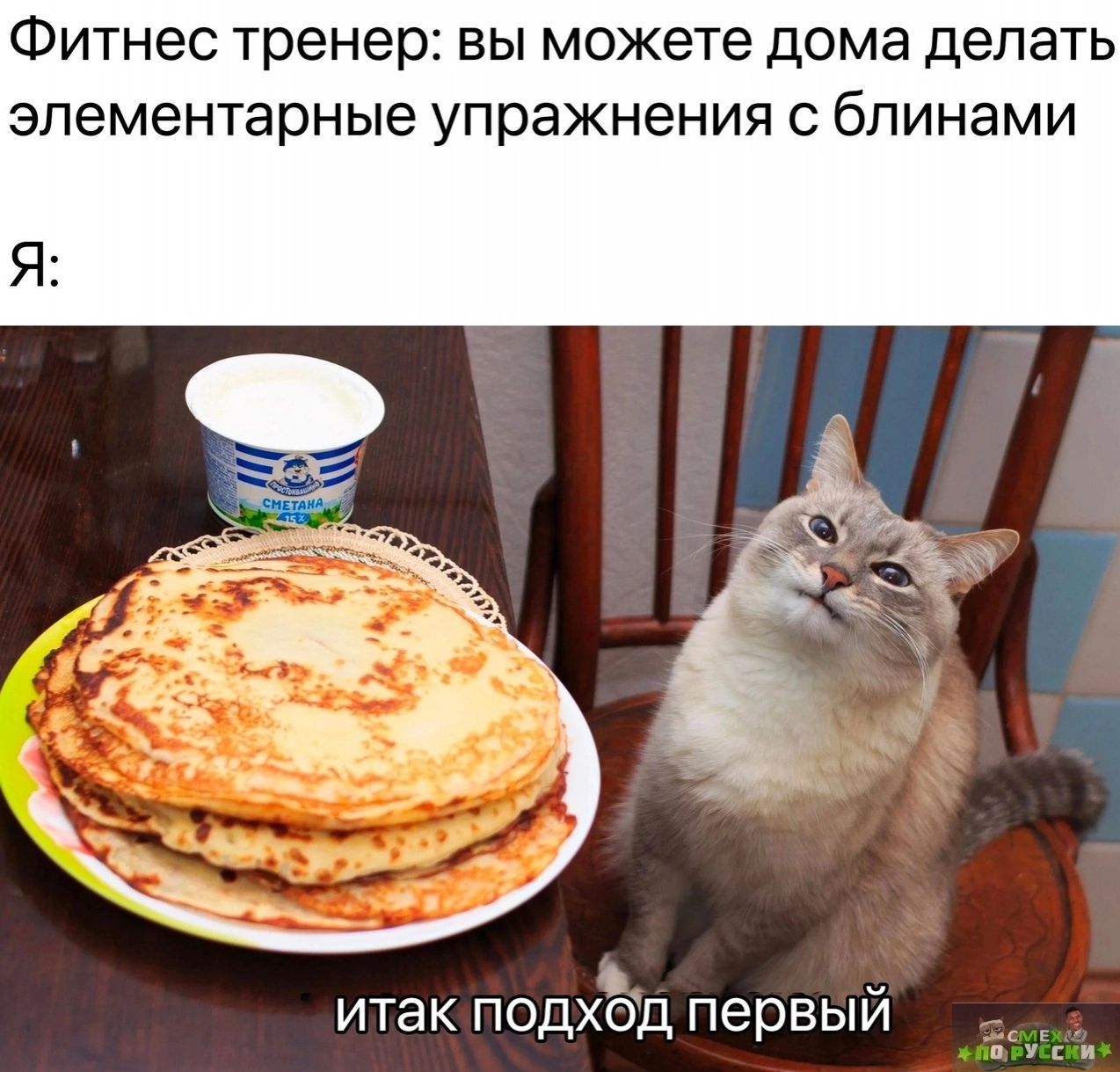 Фитнес тренер вы можете дома делать элементарные упражнения с блинами итак подхЁтд первый