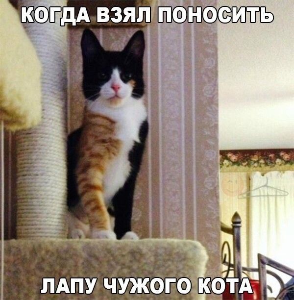 КФГДАВЗЯП ПФНФЭИТЬ