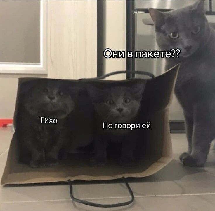 к и щ ни в п Не говори ей