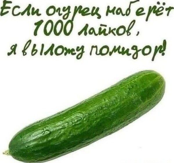 Если от ноГерет 700 Лайка я диану ложит