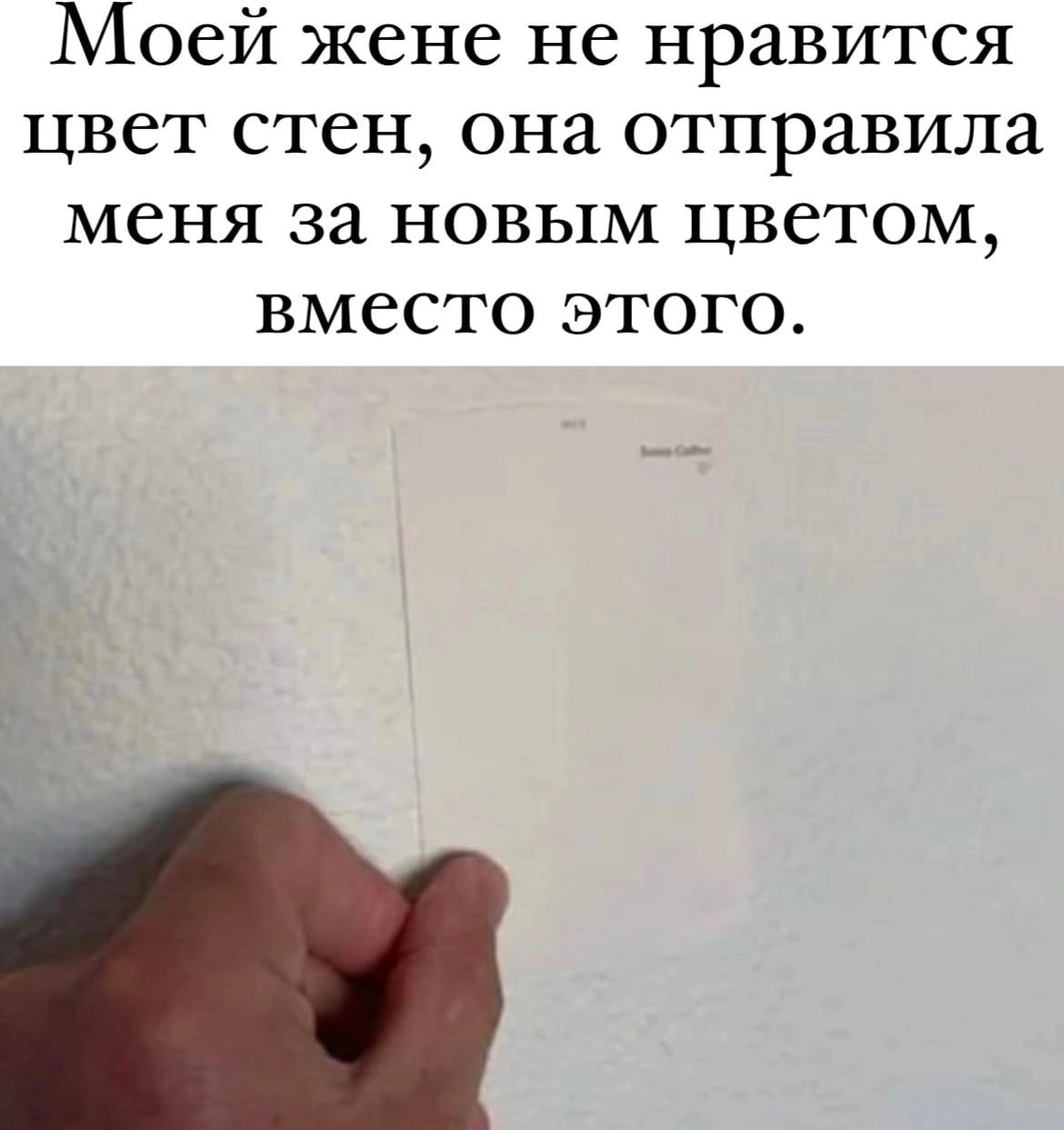 Моей жене не нравится цвет стен она отправила меня за новым цветом вместо этого