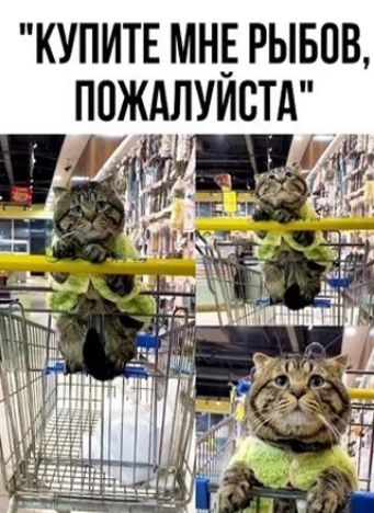 КУПИТЕ МН_Е РЫБПВ ППЖдЛУИВТА и _ а