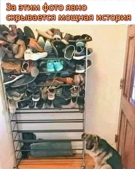 За этам Фол я830 _ З