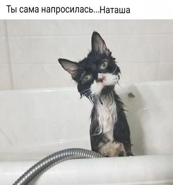 Ты СЭМЗ напросиласьНаташа