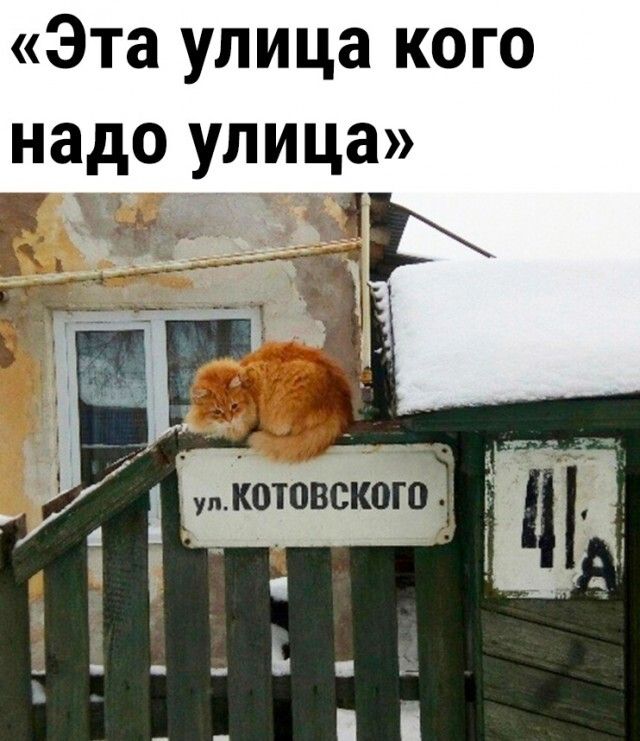 Эта улица кого надо улица