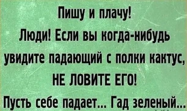 Пишу и плачу Люди Если вы когда нибудь увидите падающий полки кактус НЕ ЛОВИТЕ ЕГО Пусть себе падает Гад зеленый