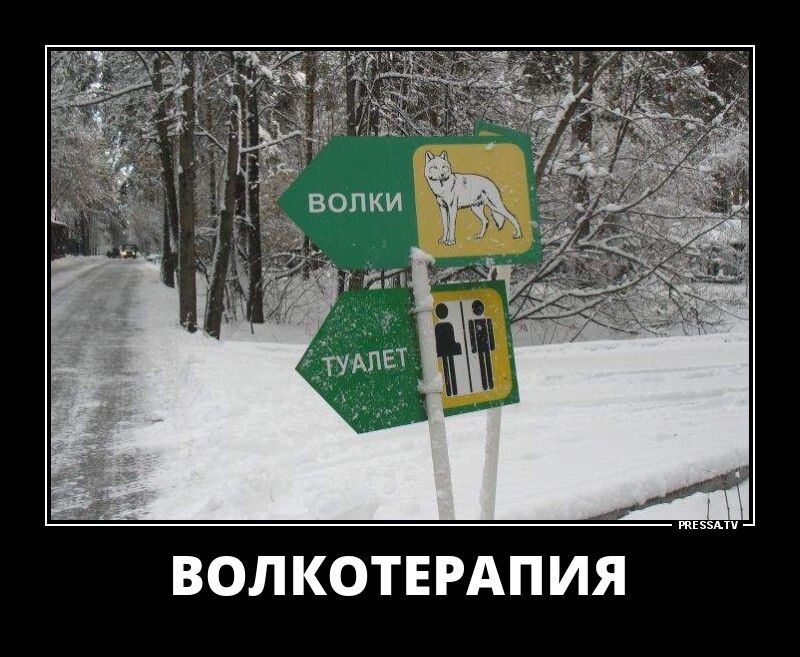 ВОЛ КОТЕРАПИЯ