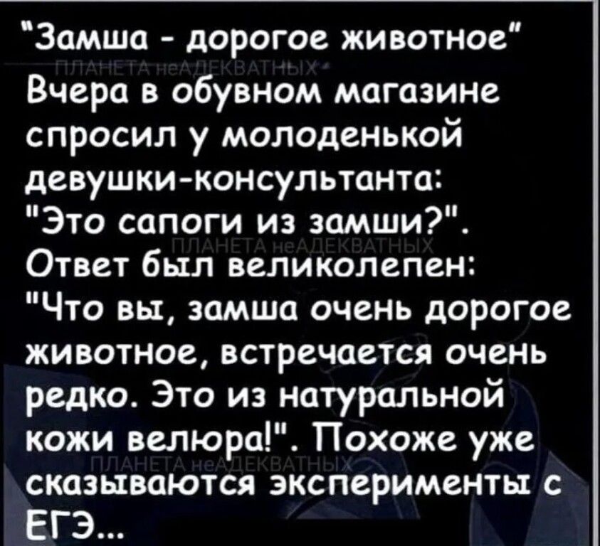 Замша дорогое животное Вчера в обувном магазине спросил у молоденькой девушки консультанта Это сапоги из замши Ответ был великолепен Что вы замша оченъ дорогое животное встречается очень редко Это из натуральной кожи велюра Похоже уже сказываются эксперименты с ЕГЭ