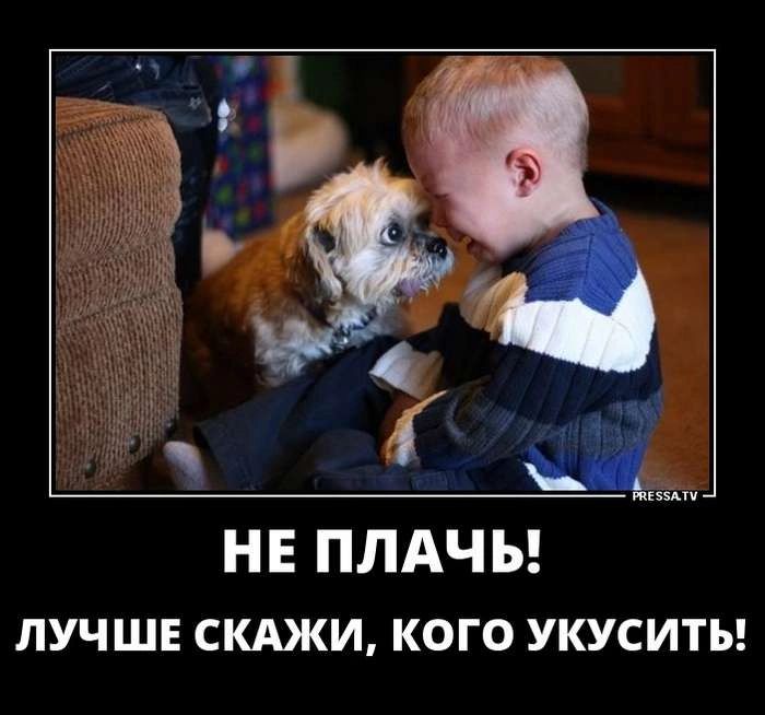 НЕ ПЛАЧЬ лучш скджи кого укуситы