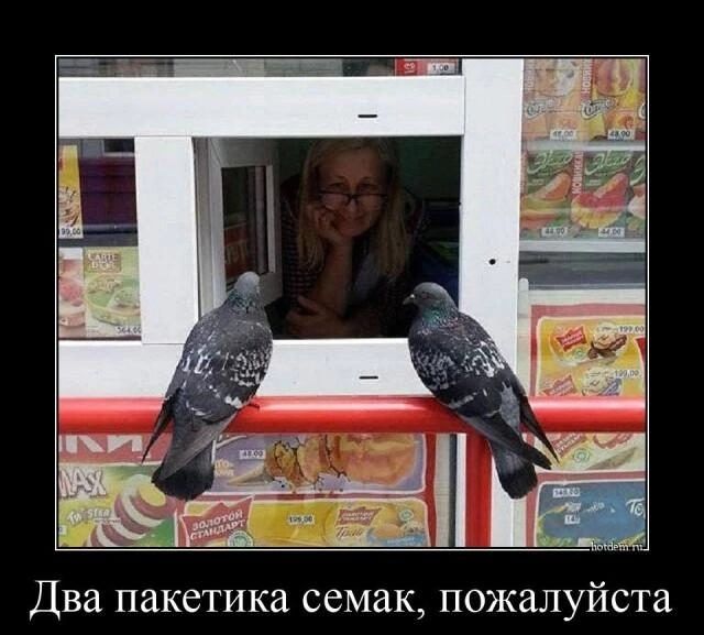 Два пакетика семак пожалуйста