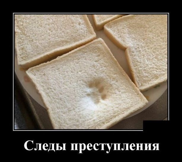 Следы преступления
