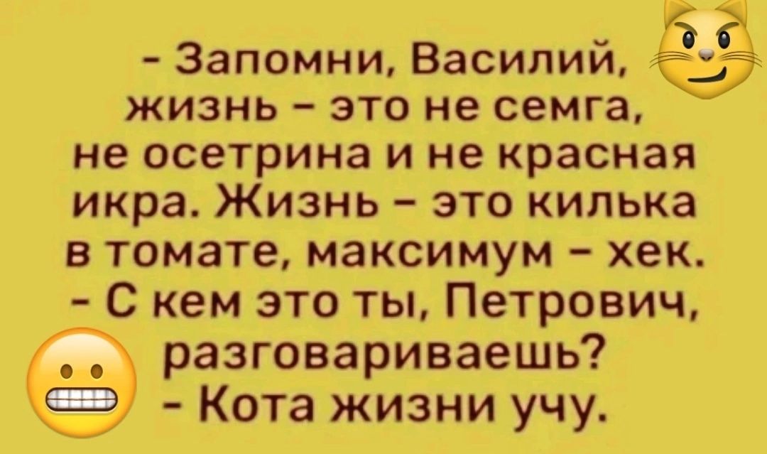 Запомни Василий жизнь это не семга не осетрина и не красная икра Жизнь это килька в томате максимум хек С кем это ты Петрович разговариваешь Кота жизни учу