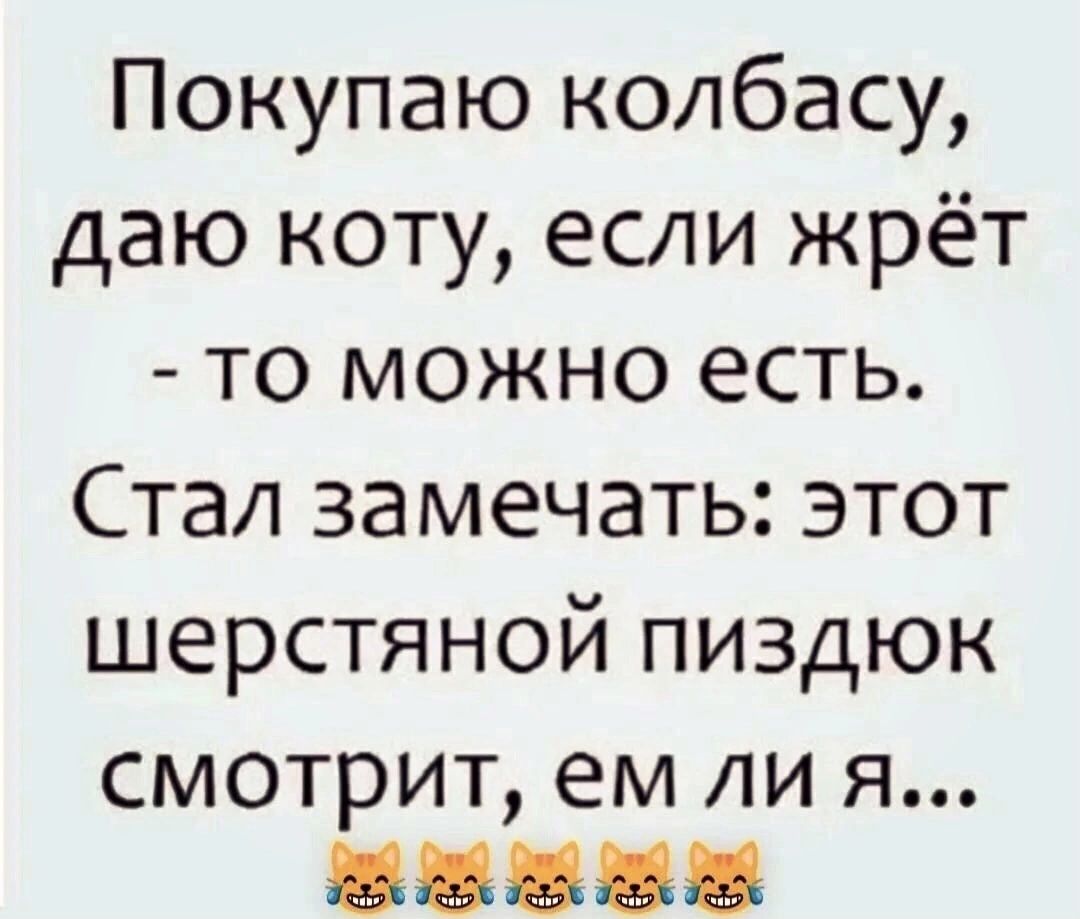 Покупаю колбасу даю коту если жрёт то можно есть Стал замечать этот шерстяной пиздюк смотрит ем ли я 88888