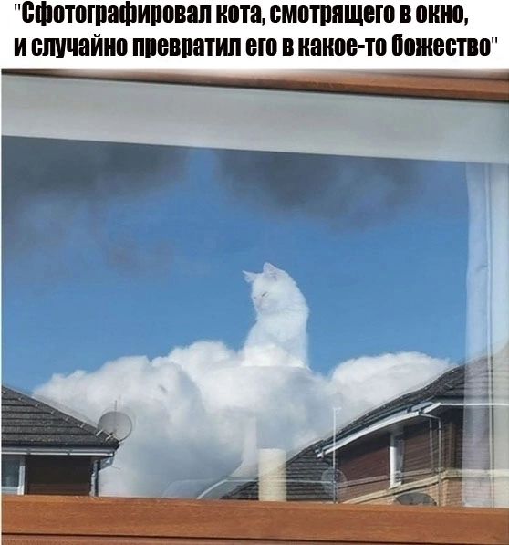 пшотпшашипопап нота смптппщвю в нию и сщчайип ппевпатип но в какое то Божества