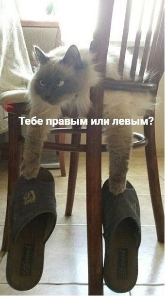 Тебе ЕЕ или під Ёп