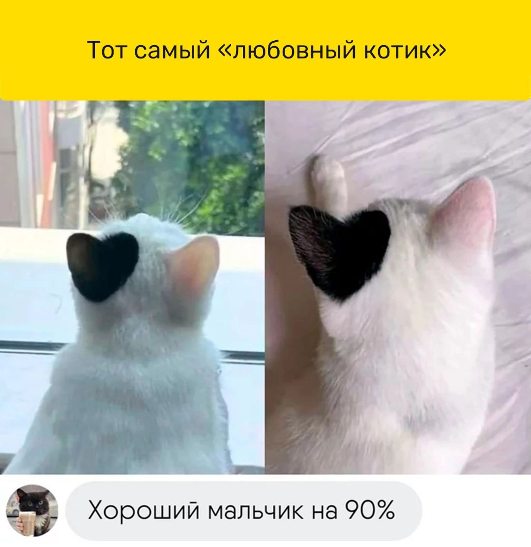 Тот самый любовный котик за Хороший мальчик на 90