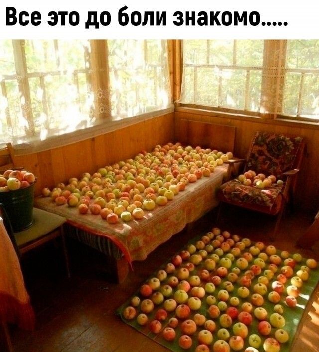 Все ЭТО до бОЛИ ЗНЗКОМО