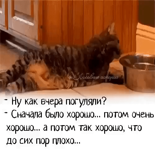 Ну как вчера погуляли Сначала было хорошо потом очень хорошо а потом так хорошо что до сих пор ппохо