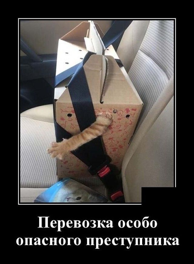 Перевозка особо опасного преступника