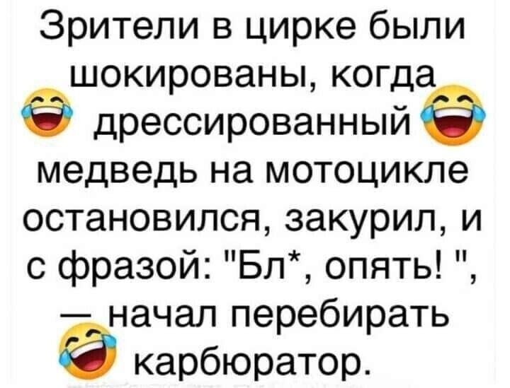Зрители в цирке были шокированы когда дрессированный медведь на мотоцикле остановился закурил и с фразой Бп опять начал перебирать карбюратор