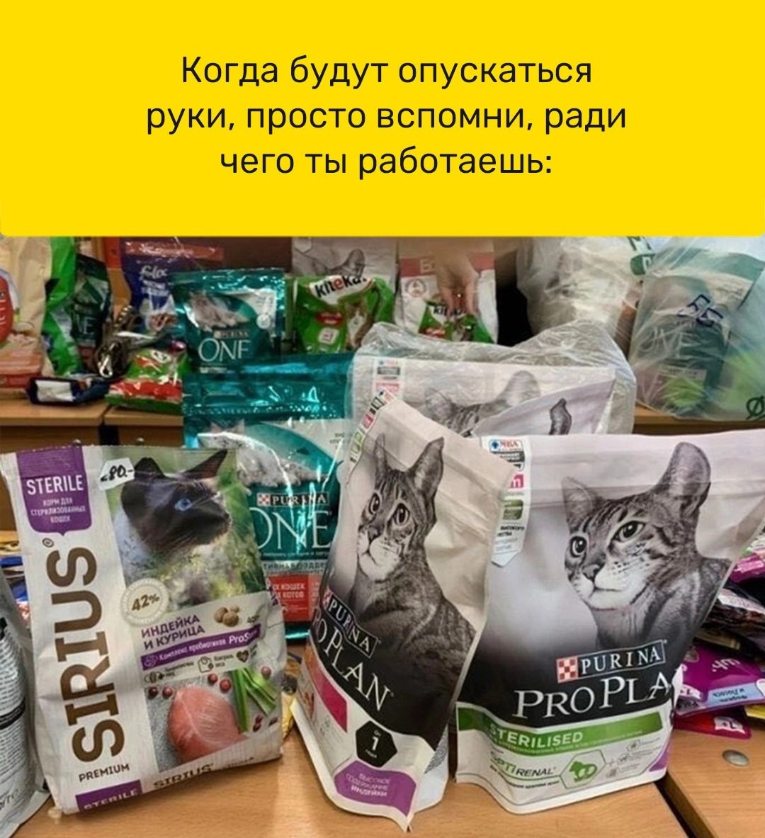 Когда будут опускаться руки просто вспомни ради чего ты работаешь